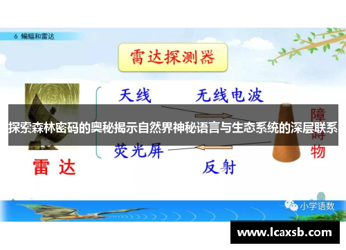 探索森林密码的奥秘揭示自然界神秘语言与生态系统的深层联系 探索森林密码的奥秘揭示自然界神秘语言与生态系统的深层联系